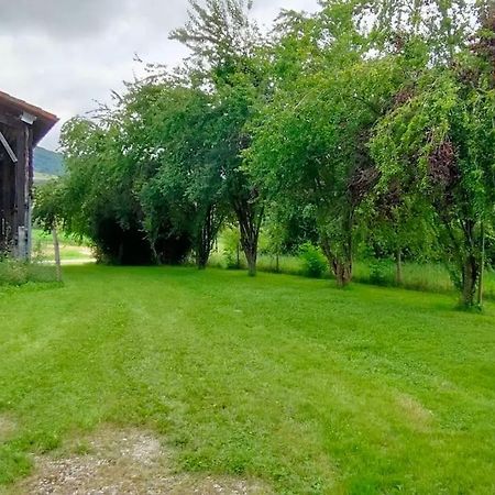 Вілла Superbe Demeure Au Coeur Des Pyrenees Ariegeoises Montels  Екстер'єр фото
